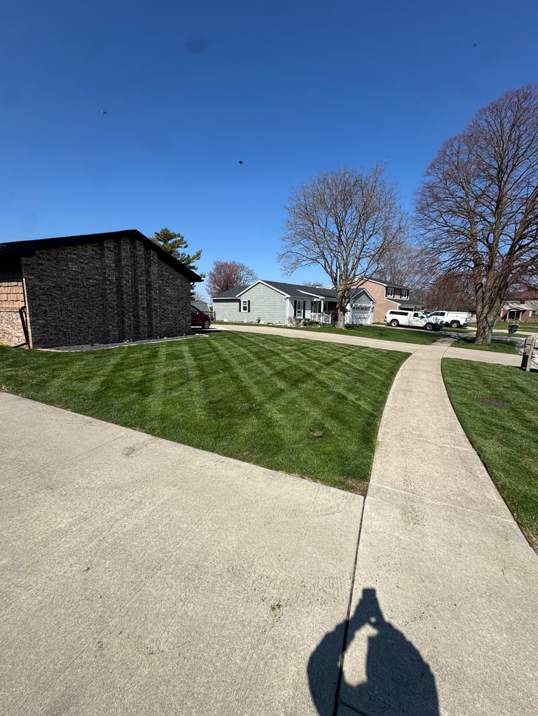 Suburban home with striped lawn, concrete driveway, bare trees, and clear blue sky
