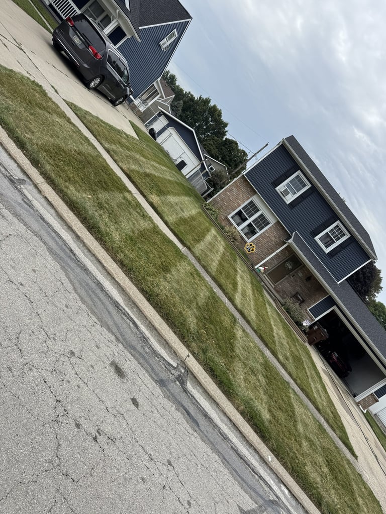 Residential street with modern dark-sided houses, manicured lawns, parked vehicle, and overcast sky
