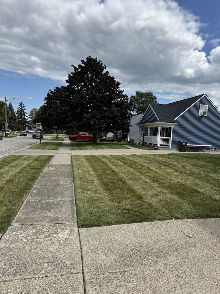 Suburban home with neatly mowed lawn, large tree, driveway, and sidewalk on a sunny day with clouds